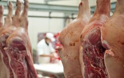 Schweinehälften in einer Großfleischerei bei Chemnitz. Mit 8,22 Millionen Tonnen wurde im vergangenen Jahr in Deutschland so 