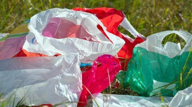 Plastiktüten sind ein Umweltproblem. Foto: Patrick Pleul