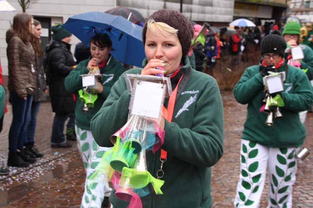 Fasnetsumzug Hayingen Februar 2016