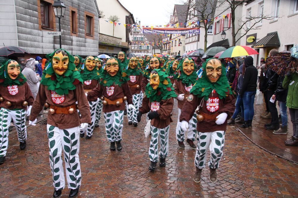 Fasnetsumzug Hayingen Februar 2016