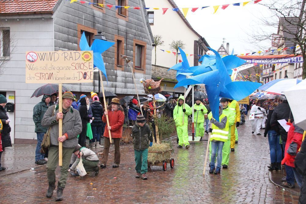 Fasnetsumzug Hayingen Februar 2016