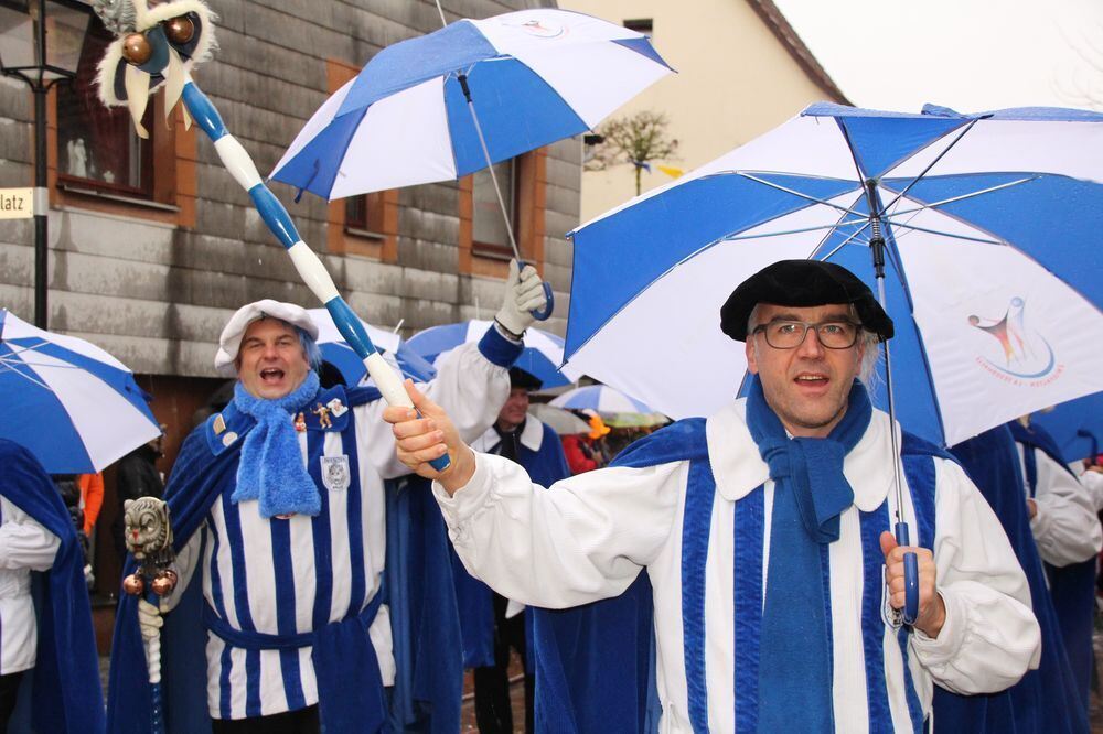 Fasnetsumzug Hayingen Februar 2016