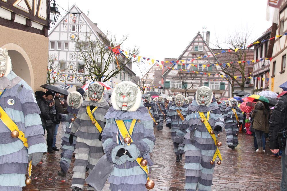 Fasnetsumzug Hayingen Februar 2016