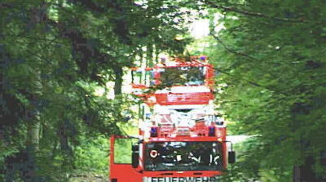 Die Feuerwehr probte den Ernstfall im &raquo;brennenden&laquo; Schachenwald. FOTO: FW