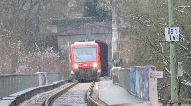 Die Ammertalbahn (Archivbild)