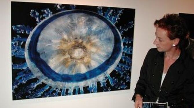 Fotografien naturwissenschaftlicher Glasmodelle von Meeresgeschöpfen stehen im Mittelpunkt einer Wanderausstellung im Naturkunde