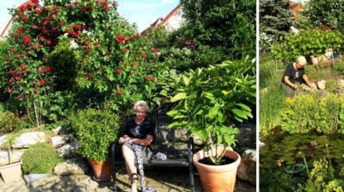 Ein kleines Paradies, in dem alles blüht und Leben atmet, ist Alena Zimmermanns Garten in Gönningen. FOTO: STÖ
