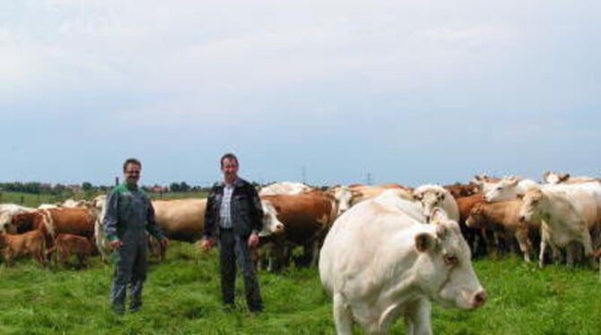 Viehhaltung gehört zu ihrem Job: Thomas Schäfer (links) und Jörg Zimmermann auf der Weide bei Bodelshausen. FOTO: WEBER