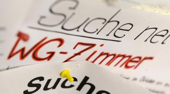 Wohnungsgesuche von Studenten hängen am Schwarzen Brett einer Universität. Foto: Felix Kästle/Illustration Wohnungsgesuche von Studenten hängen am Schwarzen Brett einer Universität. Foto: Felix Kästle/Illustration