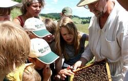 Bienen brauchen den Menschen, und der Mensch braucht die Bienen: Imker Richard Graf versuchte die Engstinger Waldorfschüler im P