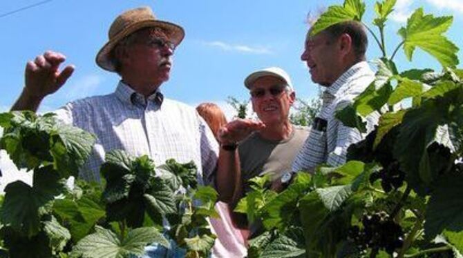 Wie schwarze Träuble gut gedeihen: Paul Wetzel (mit Strohhut) gibt am Tag der offenen Gärten in Kusterdingen Tipps.
FOTO: WEBER