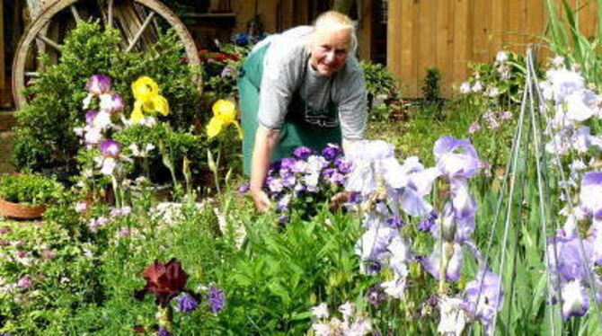 Eine Symphonie in Blau-, Rot- und Gelbtönen genießt Brigitte Rückle derzeit in ihrem Garten dank Schwertlilien, Akelei, Stiefmüt