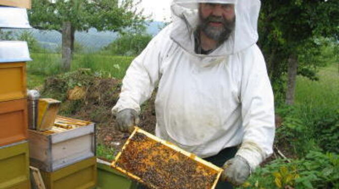 So sieht es im gesunden Bienenstock aus: Die Tiere bei ihrer Arbeit präsentiert vom Eninger Imker Eckard Hennenlotter. GEA-FOTO: