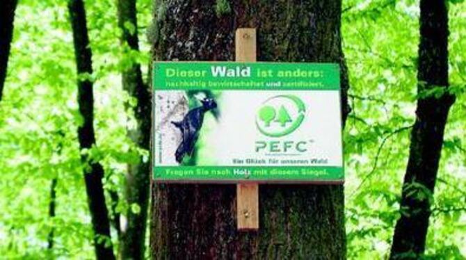 Dieser Wald ist nicht anders als vorher: Den Vorgaben für die PEFC-Zertifizierung zu genügen, fiel dem Stadtwald nicht schwer.
