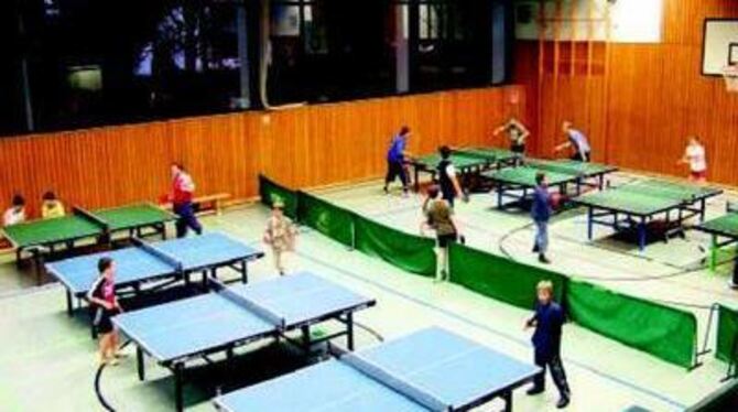 Der Tischtennissport ist ein wichtiges Standbein des SSV Rübgarten. Innerhalb weniger Jahre gab es im Jugendbereich eine stürmis