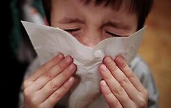 Vor allem Schulkinder sind derzeit von der Grippewelle betroffen. Foto: Nicolas Armer/Illustration