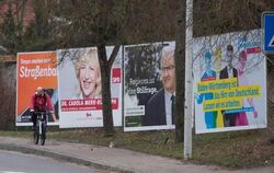 Wahlplakate für die Landtagswahl in Baden-Württemberg an einer Straße in Ellwangen. Foto: Marijan Murat