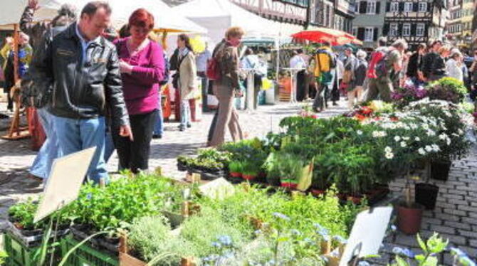 Über 75 Anbieter präsentierten in der Tübinger Altstadt ökologische und biologische Produkte aus der Region. GEA-FOTO: JÜRGEN ME