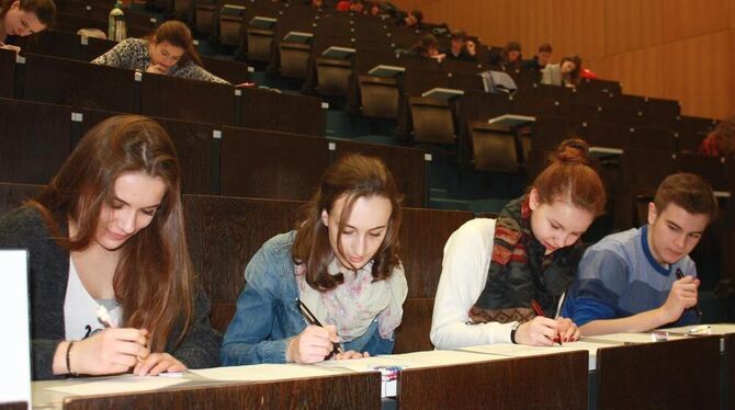 Gemeinsames Brüten über den Aufgaben: Die Reutlinger Theresa Rohrbach, Carla Schäfer, Alina Dausien und Christian Walz beim Tag