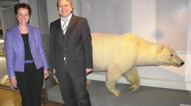 Knut, Flocke, Wilbär? Reutlingens Eisbär ist zum Kuscheln schon etwas zu groß. Dr. Barbara Karwatzki, Leiterin des Naturkundemus
