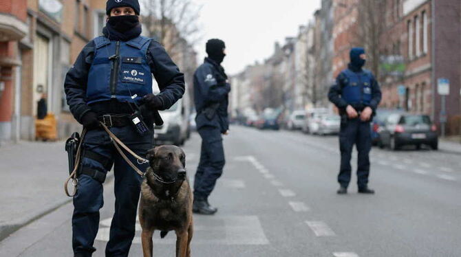 Foto: Laurent Dubrule