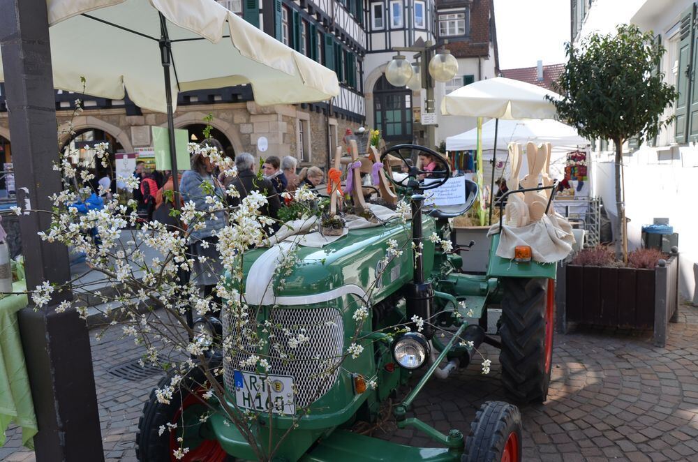 fruehlingserwachen0002 (jpg)