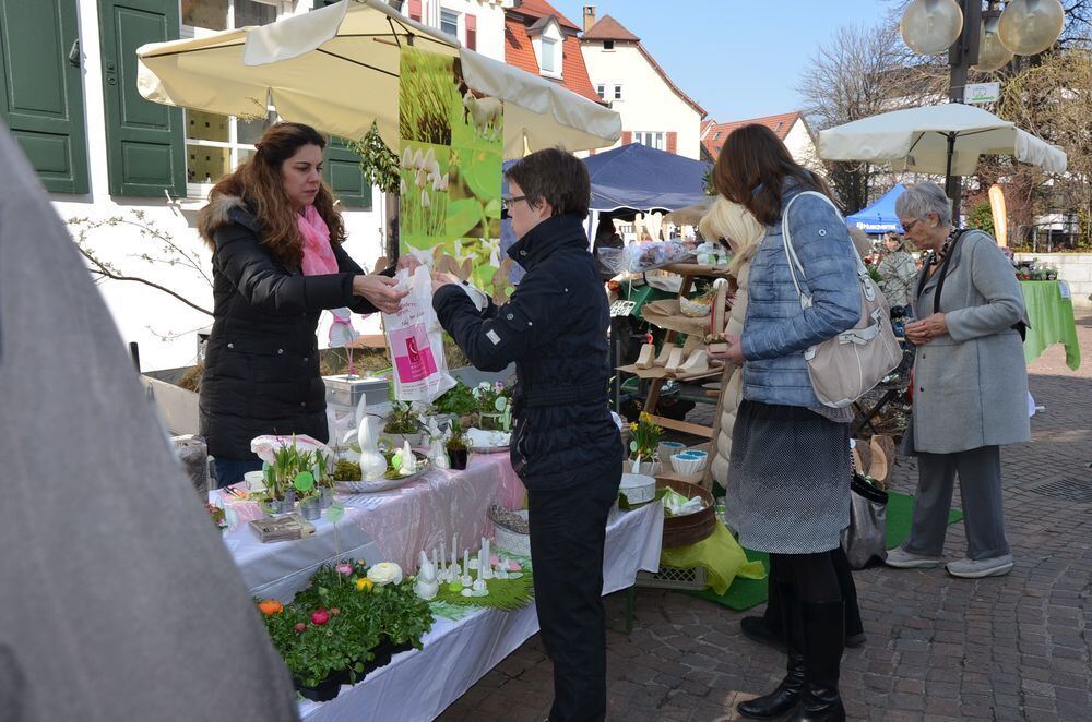 fruehlingserwachen0007 (jpg)