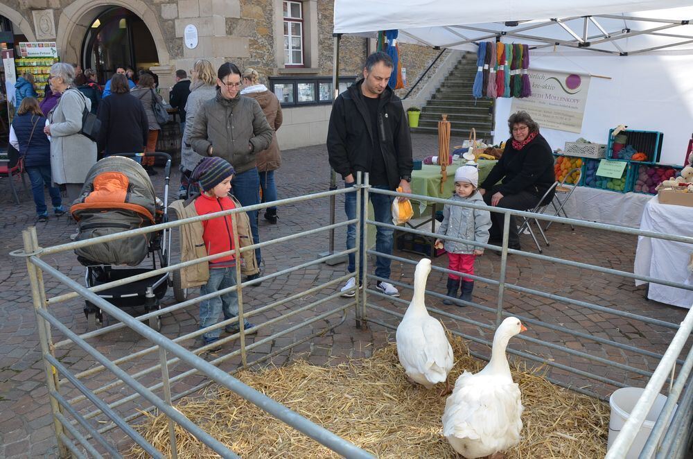 fruehlingserwachen0009 (jpg)