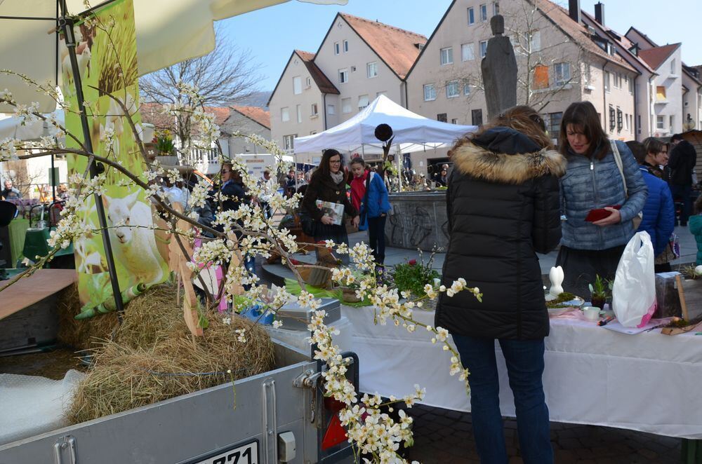 fruehlingserwachen0010 (jpg)