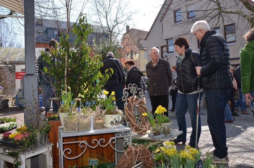 fruehlingserwachen0016 (jpg)