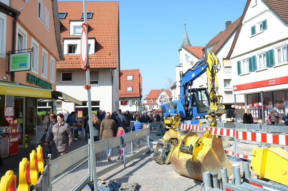 fruehlingserwachen0019 (jpg)