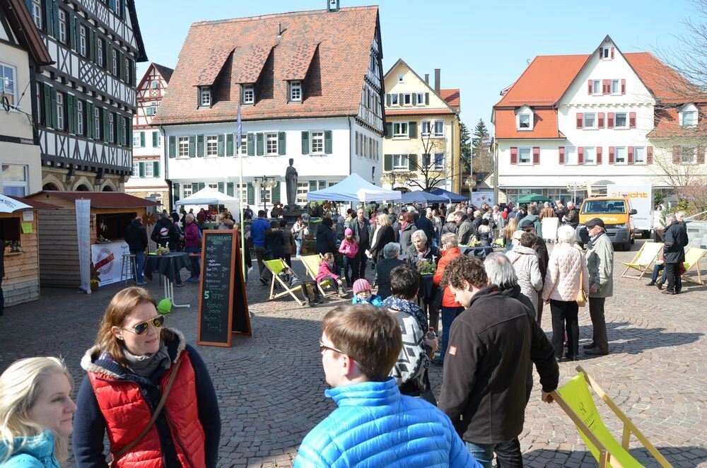 fruehlingserwachen0025 (jpg)