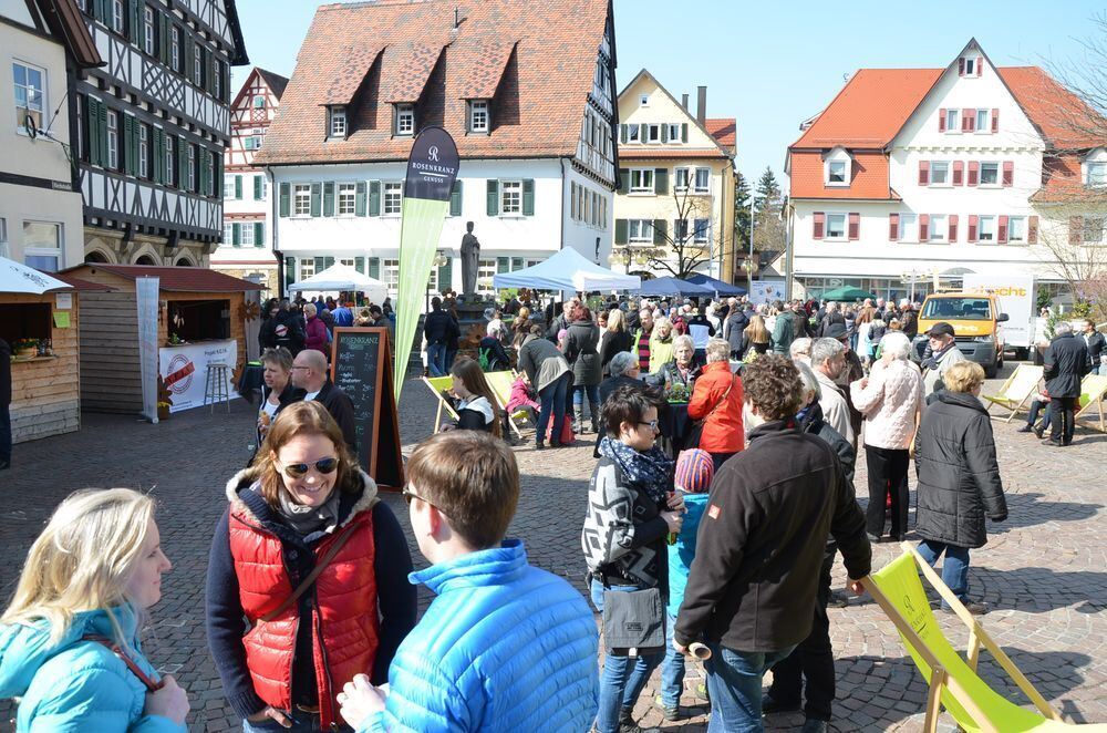 fruehlingserwachen0026 (jpg)