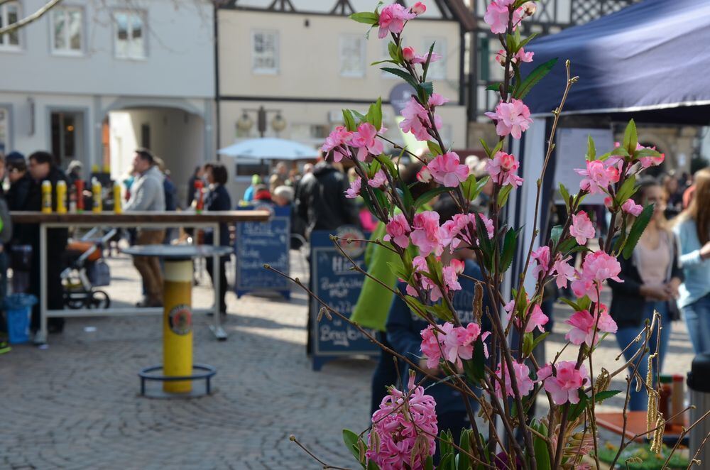 fruehlingserwachen0035 (jpg)