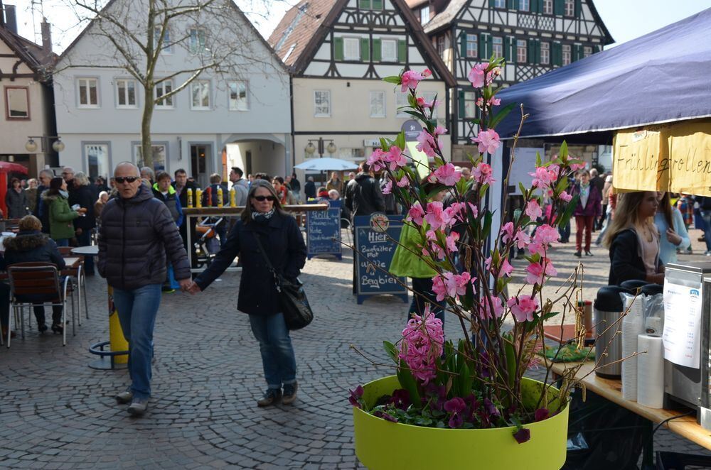 fruehlingserwachen0036 (jpg)