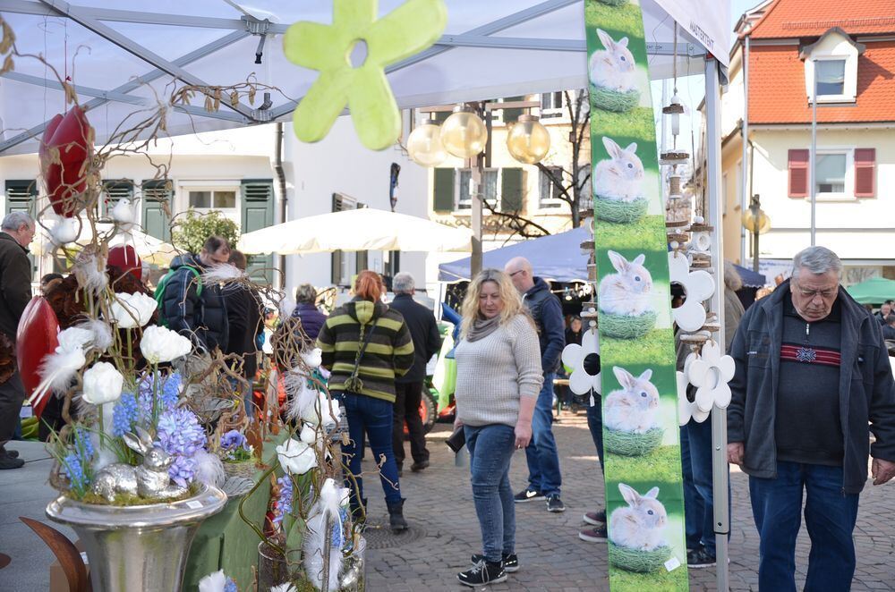 fruehlingserwachen0045 (jpg)