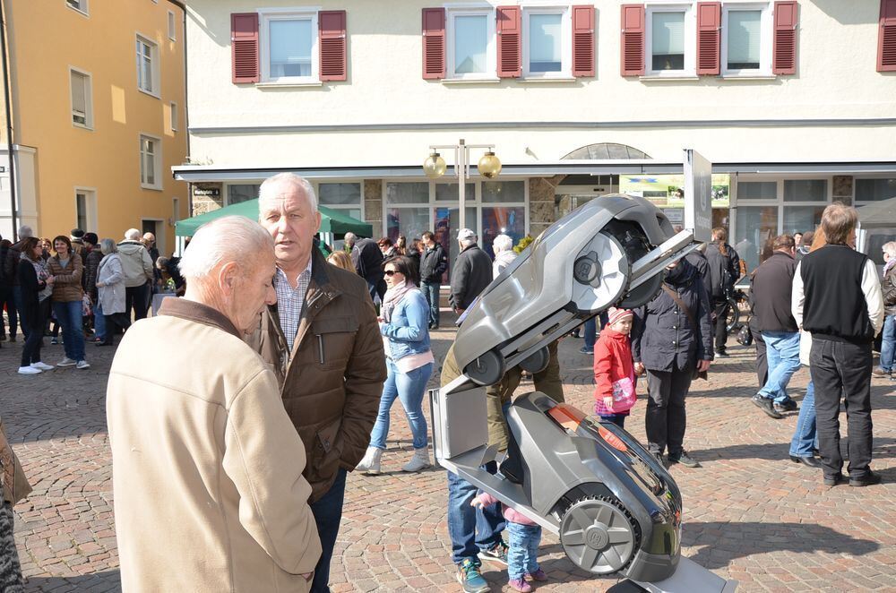 fruehlingserwachen0050 (jpg)