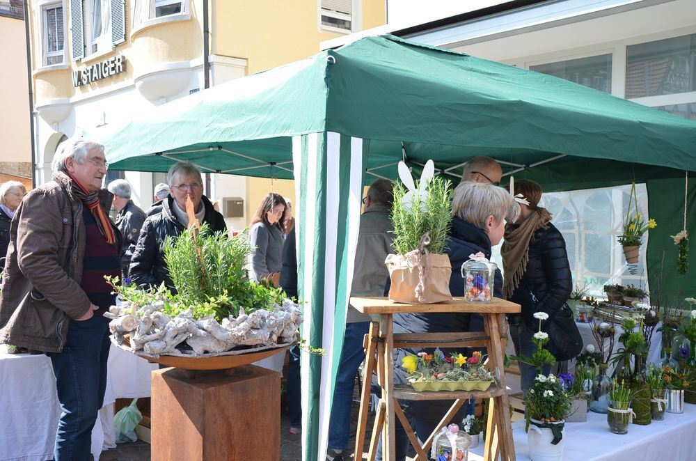 fruehlingserwachen0052 (jpg)