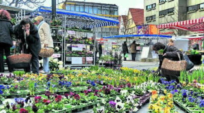 Der Frühling naht: Ab morgen ist donnerstags in Reutlingen wieder Markttag - von 7 bis 12.30 Uhr.  GEA-FOTO: PACHER