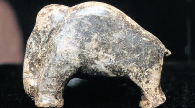 35000 Jahre alt ist die bestens erhaltene Mammut-Figur. FOTO: NIETHAMMER