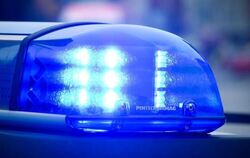 Blaulicht an einem Polizeiauto. Foto: Patrick Pleul/Illustration