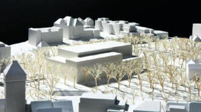 Von der Jury mit dem fünften Platz bedacht wurde das Stadthallen-Modell des Berliner Architekturbüros Hinrichs Wilkening. Die Pr