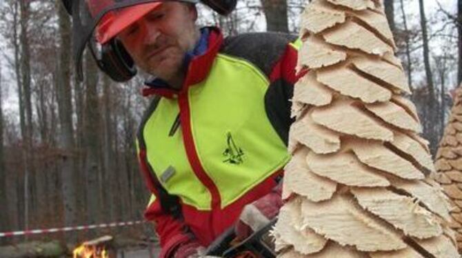 Skulpturensäger Freddy Röthenbach sägt beim Tübinger Brennholztag an einer Tanne: Kunst am Baum.
FOTO: LANDWEHR