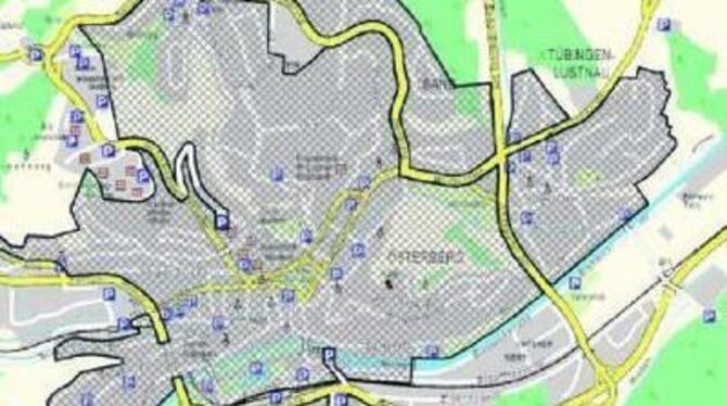 Überall da, wo das graue Raster über den Straßen der Stadt liegt, befindet sich vom 1. März an die Umweltzone, in der nur noch A