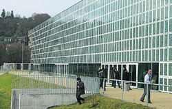 20 000 grünlich schimmernde Solarzellen produzieren an der Paul-Horn-Arena umweltfreundlich Strom. Finanziert wird die von den Stadtwerken betriebene Anlage unter anderem aus den Ökostromtarifen.GEA-FOTO: KURZ