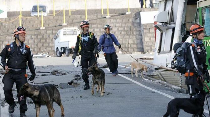 In Mashiki setzen Rettungskräfte Spürhunde ein, um Verschüttete zu finden. Foto: Kimimasa Mayama