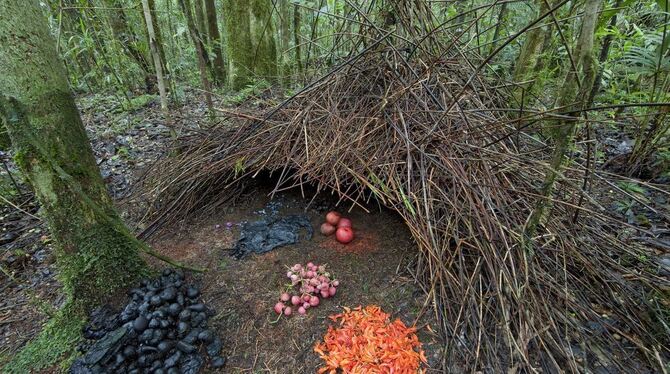 Angesichts dieser architektonischen Eleganz erobert Herr Hüttengärtner (im Bild rechts) Damenherzen im Flug. FOTOS: INGO ARNDT Angesichts dieser architektonischen Eleganz erobert Herr Hüttengärtner (im Bild rechts) Damenherzen im Flug. FOTOS: INGO ARNDT