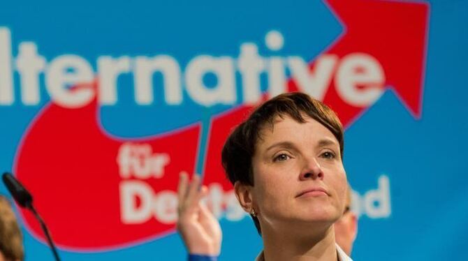 Innerparteilich nicht unumstritten: AfD-Chefin Frauke Petry. Foto: Julian Stratenschulte/Archiv