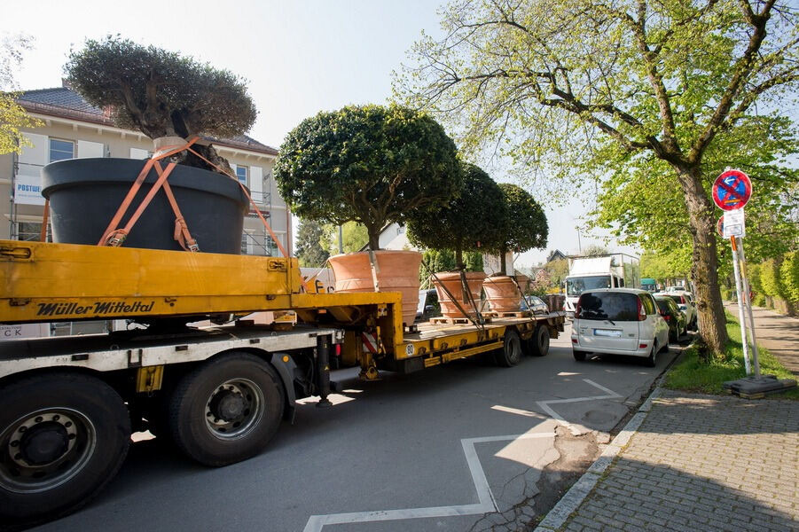 Aufbau Garden Life 2016