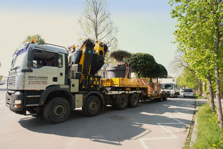 Aufbau Garden Life 2016